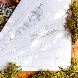 Lavinia DIY kalender 2027