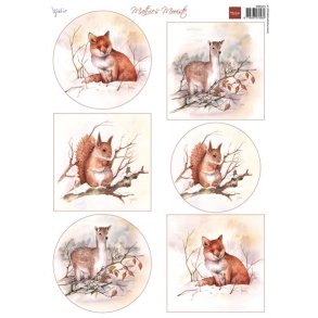 Klippeark Marianne Vinter dyr M35