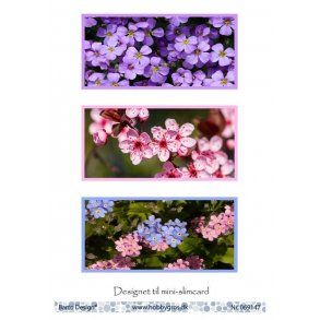 Klippeark Barto Mini-slimcard/blomster M20