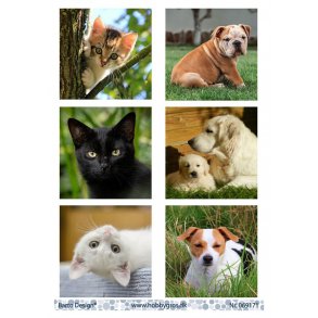 Klippeark Barto Katte/hunde M17