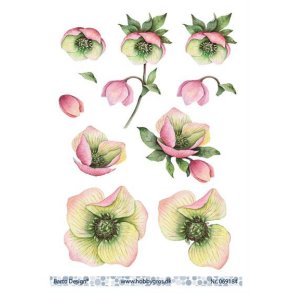 3D ark Barto Julerose M11