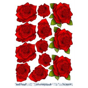 3D ark Barto Roser M6