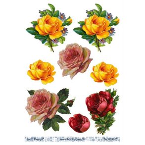 3D ark Barto Roser M6