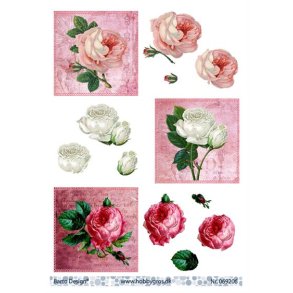 3D ark Barto Roser M6