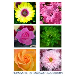 Klippeark Barto Blomster M6