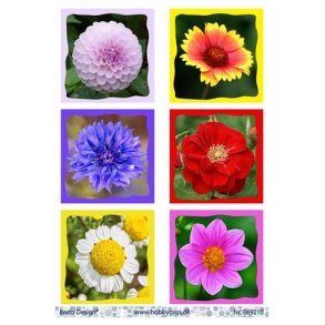 Klippeark Barto Blomster M6