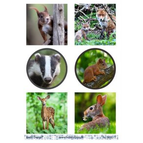 Klippeark Barto Dyr M6