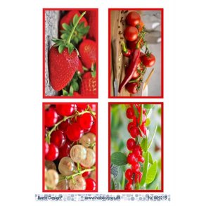 Klippeark Barto Frugter/grntsager M34