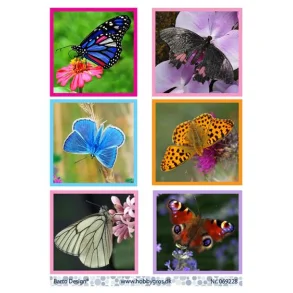 Klippeark Barto sommerfugle M9