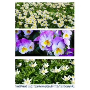 Klippeark/baggrund Barto blomster M9