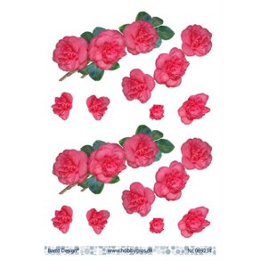 3D ark Barto Roser M43