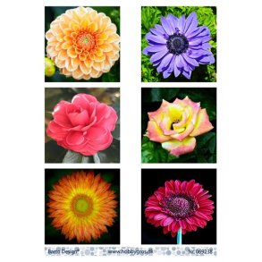 Klippeark Barto Blomster M43