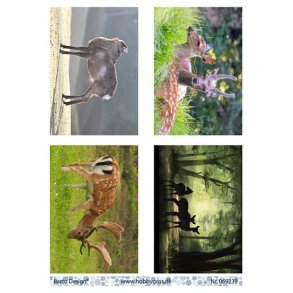 Klippeark Barto Ddyr M43