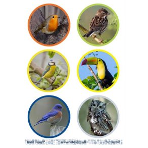 Klippeark Barto Fugle M43