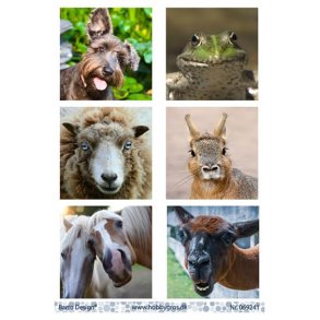 Klippeark Barto Dyr M43