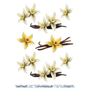 3D ark Barto Vanilje blomst M14