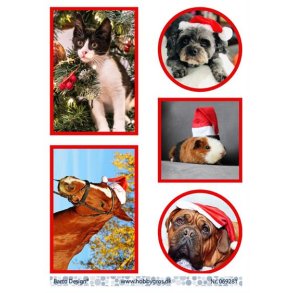 Klippeark Barto Dyr med nissehue M14