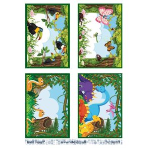 Klippeark Barto Dyr i natur M39