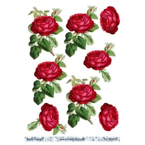 3D ark Barto Roser M2