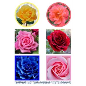 Klippeark Barto Roser M2