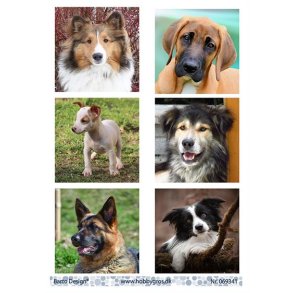 Klippeark Barto Hunde M9