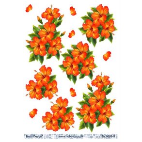 3D ark Barto Hawaiiblomst M40