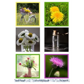 Klippesrk Barto F orr M40