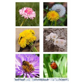 Klippeark Barto Blomster M40