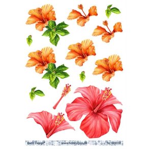 3D ark Barto Hawaii Blomst M30