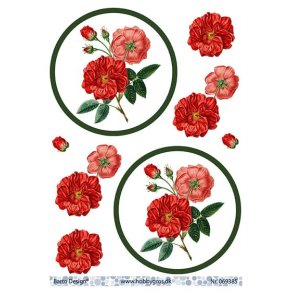 3D ark Barto Roser i cirkel M3