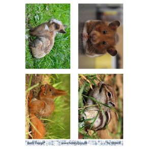 Klippeark Barto Dyr M7