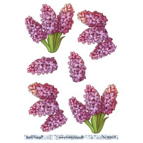 3D ark Barto Hyacint M13