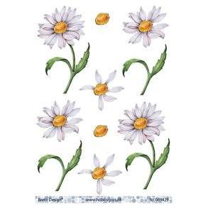 3D ark Barto Marguerit M13