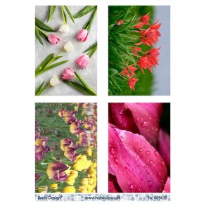 Klippeark Barto Blomster M13