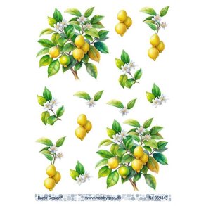 3D ark Barto Citrontr M36