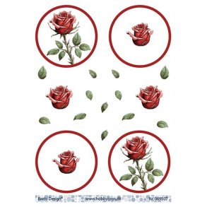 3D ark Barto Rd rose M40