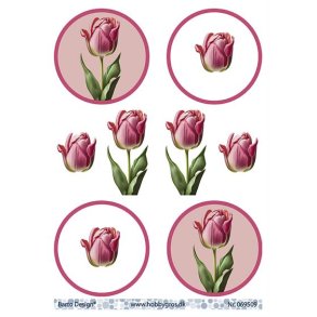 3D ark Barto Tulipan M40