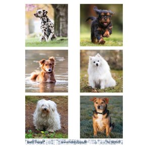 Klippeark Hunde Barto design M25