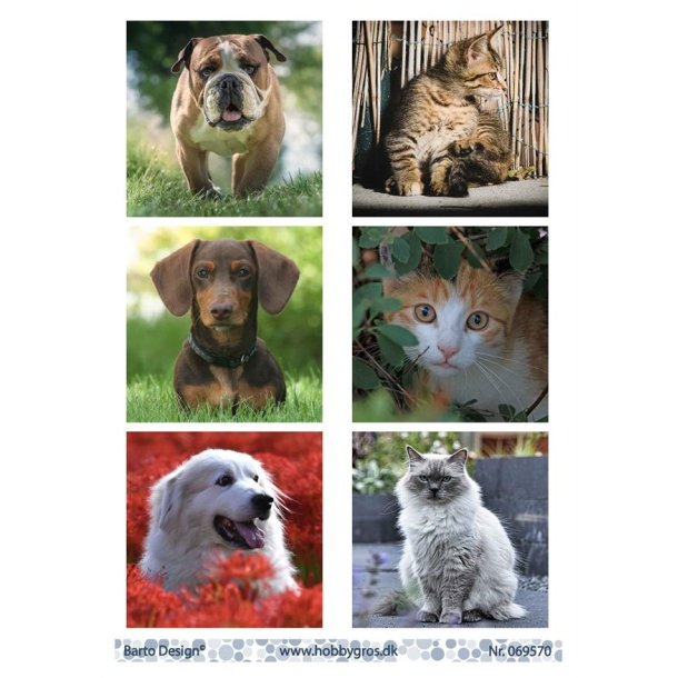 Klippeark katte og hunde Barto Design M31