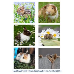 Klippeark Gnavere Barto Design M32