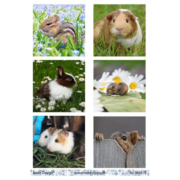 Klippeark Gnavere Barto Design M32