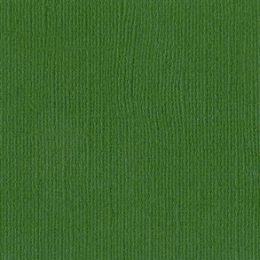 Karton Bazzill Bazzill Green 30,5x30,5cm B26