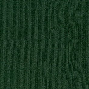 Karton Bazzill Aspen 30,5x30,5cm B28