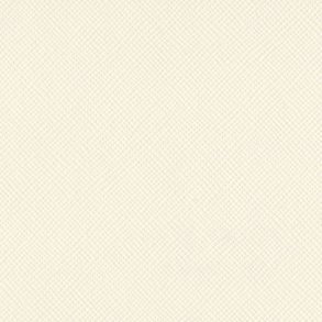 Karton Bazzill Cream puff 30,5x30,5cm B3