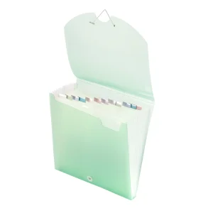 Expanding File Folder 30,5x30,5cm 