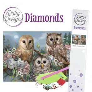 Diamond painting Romantic Owls str. 29,7x42cm