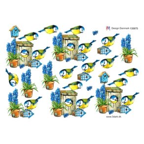 3D ark Sm� fugle M21