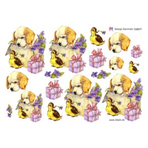 3D ark Hundehvalp & �lling M21