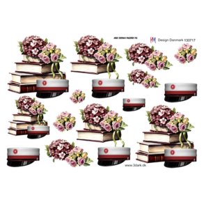 3D ark Studenterhue rdt bnd M4