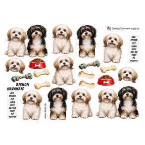 3D ark Hund bichon havanais HM design 